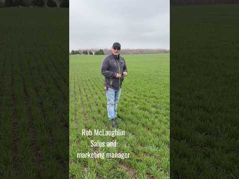Checking the different growth stages across the province #wheat #thewheatteam