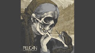 Dead Between the Walls (Live)