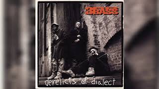 3rd Bass - No Master Plan No Master Race (Derelicts of Dialect)