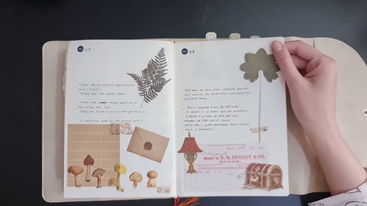 Watch video Midori MD 1 Day 1 Page A5 Full Year Flip Through Now Midori MD 1 Day 1 Page A5 Full Year Flip Through