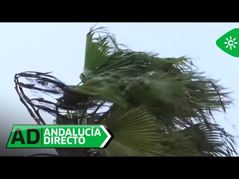 Andalucía Directo | Miércoles 28 de enero