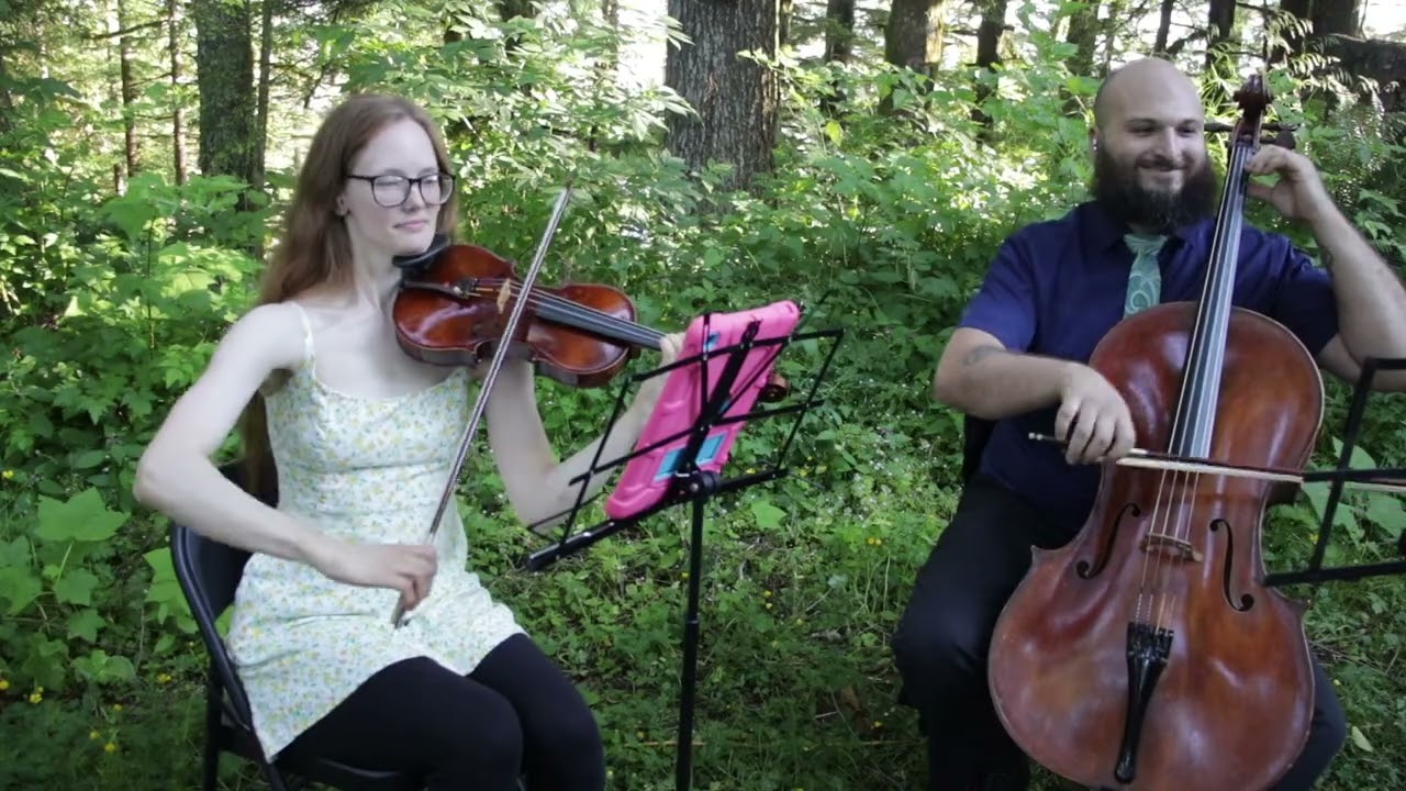 Promotional video thumbnail 3 for Lepard String Duo