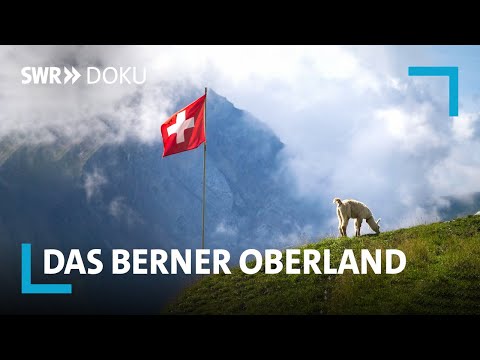 , title : 'Das Berner Oberland – Ein Sommer in den Schweizer Alpen | SWR Doku'