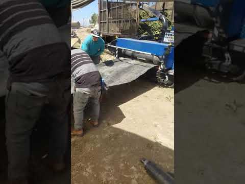 download lagu mp3 mp4 Kenton Trimmings, download lagu Kenton Trimmings gratis, unduh video klip Kenton Trimmings