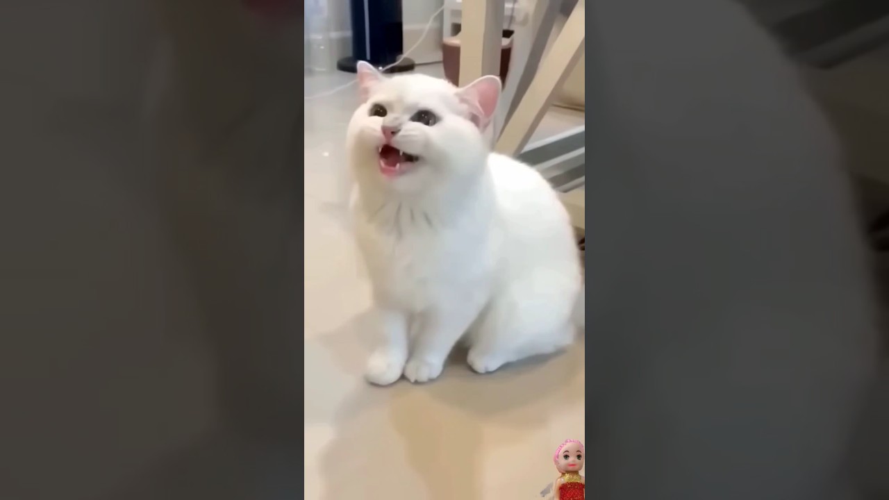 smart appliances! new gadgets,versatile utensils,tool items #shorts #gadget