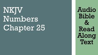 Numbers 25 - NKJV - (Audio Bible & Text)