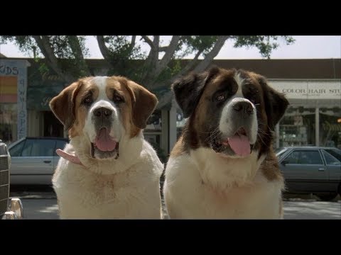 Best Scene Beethoven2 1993