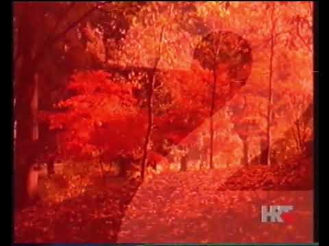 [1080p60] HRT 2, 2005. - ident (šuma)