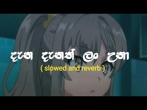 දැන දැනත් ලං උනා / Dana Danath Lan Una /Slowed and Reverb (Jude Rogans)
