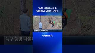 ‘늑구’ 나흘째 수색 중…‘골든타임’ 얼마 안 남았다 #dlab #뉴스A #채널A