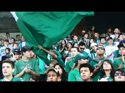 Um recado da nação alviverde para FPF !!