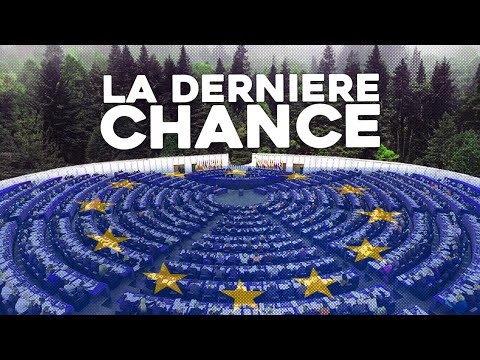 QUE VOTE LE RN ET SES AMIS ? | LIMIT #Europe #européennes #vote #décryptage