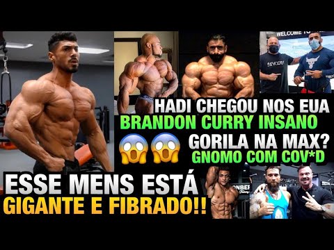 CURRY INSANO - ANDREI PERIGO NA MENS ? - HADI NOS EUA - GORILA NA MAX e mais
