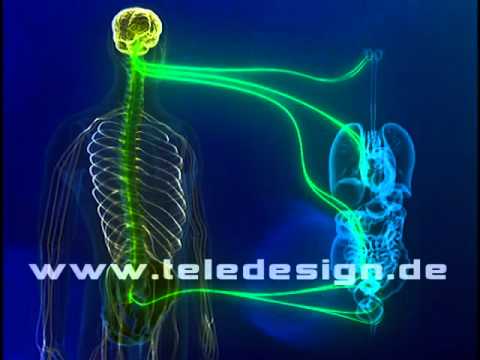 Erbsen aus der Dose Hypertonie Medikamente zur Behandlung von resistenter Hypertonie