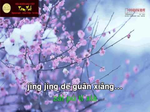 Cung dưỡng ái tình karaoke beat 爱的供养伴奏