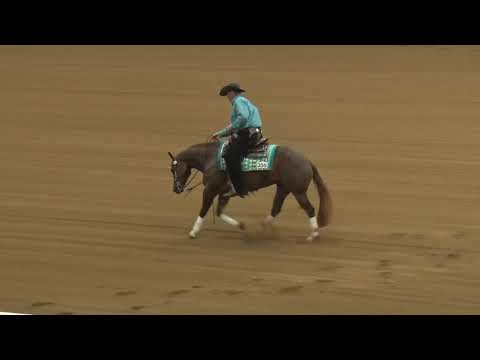 201004 Open Futurity Sam Schaffhauser on Easter Gunny