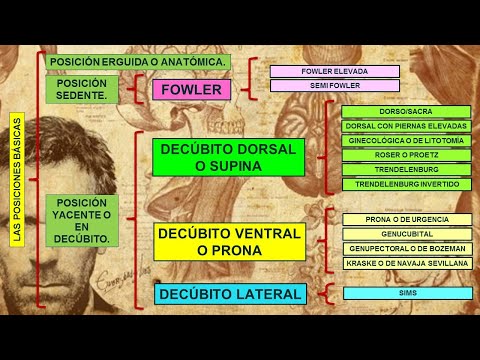 🌟BODY POSITIONS IN NURSING🌟