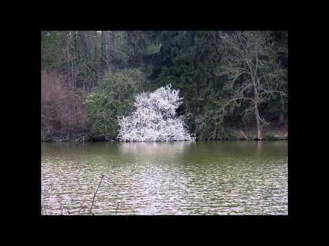 Zdeněk Fibich: Jarní romance