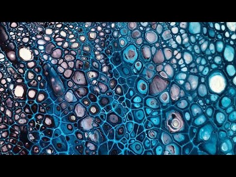 #035 Fast growing cells, no silicone, no torch - amazing result acrylic pouring fluid art tutorial