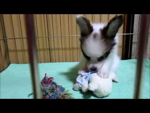 14 0511ヴィヴィっ子長女2