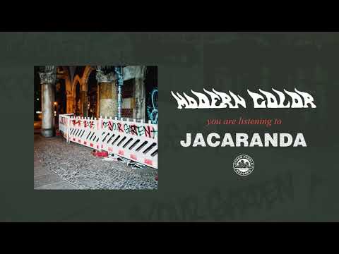 Modern Color - Jacaranda