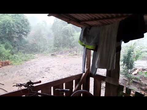 Chuva com bastante vento em laranjeira vicente dutra rio grande do sul
