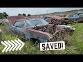 It's Supernatural: 1967 Chevy Impala Junkyard Rescue! Restoration Project car 4 door SAVED!