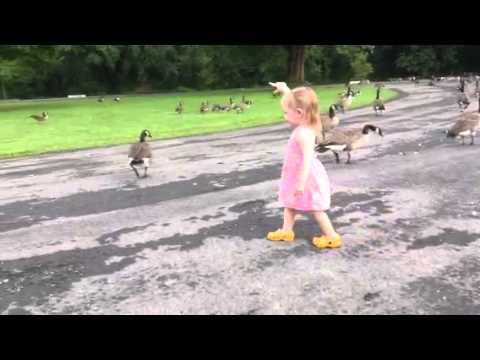 Natasha and the geese