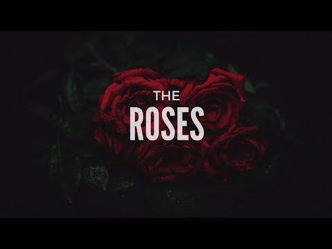 WasylBeatz - Roses / Fresh Rap Beats !