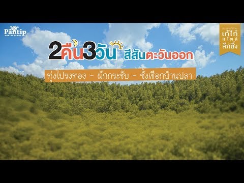 คลิกเพื่อดูคลิปวิดีโอ