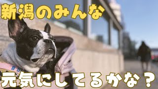 初めてお正月に帰省してみたよ！
