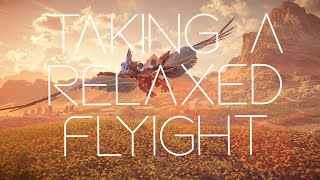 Taking a relaxed flyight