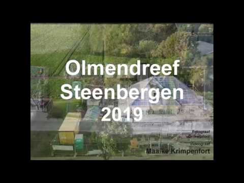 Deel 2 Olmendreef Steenbergen