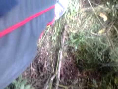 Rally degli abeti e dell abetone 2012