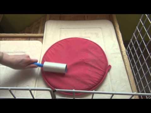 How I Clean My Rabbit's Cage