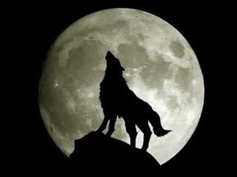 Osun Baba - Bozkurt Rap