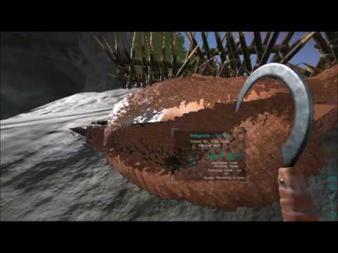 Ark: Survival Evolved: 120 Pelagornis Tame