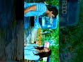 Julai Movie ICON STAR AA HEROINE LOVE STATUS O MADHU O MADHU NA MANASU NADHI KADU