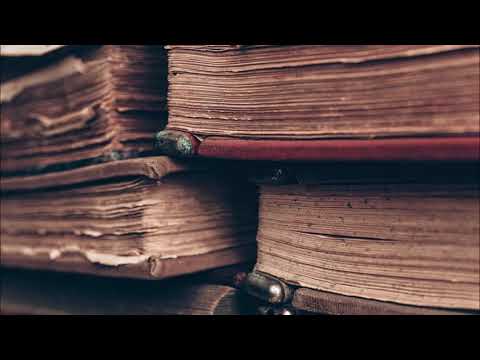 Torch ft. Toni L - Poetik mit Niveau