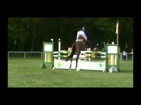 Stakina von Stakkato - Calypso II