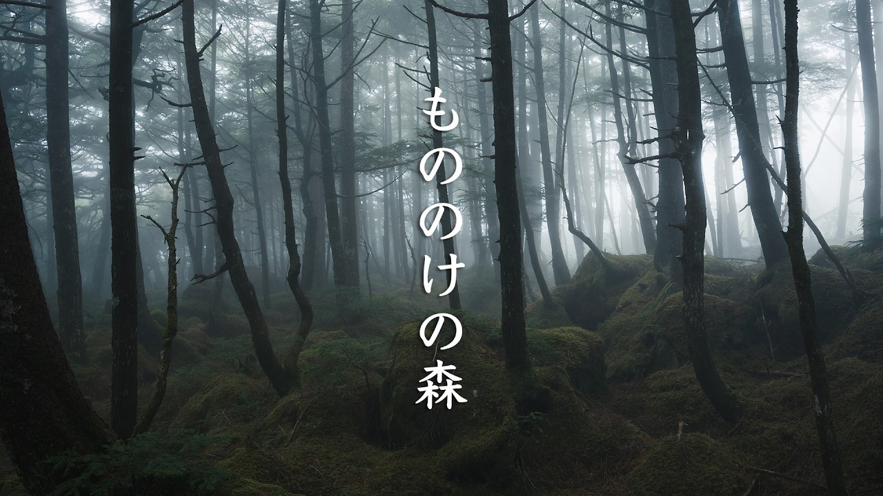 Mononoke Forest