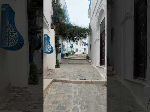Walkthrough of Sidi Bou Said - Tunisia #beautiful #travel