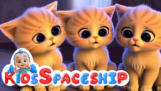 3 Little Kitten - cat fun poem and song for kids | Kids Spaceship | Nursery Rhymes & Poem Song