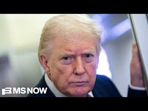 'Sheer incompetence’: How Trump’s corruption is fueling America’s ‘cost of living crisis’