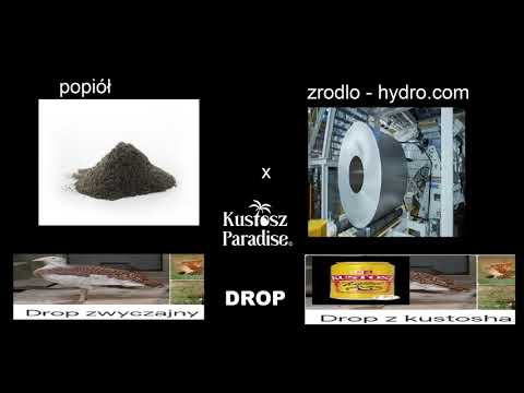 popiół x hypno - drop