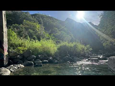 Feel Alright - Tomorrow people ft. Kolohe kai (Eq)