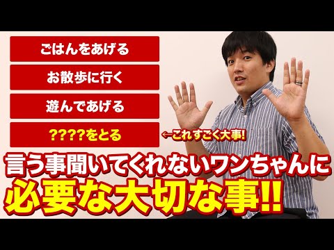 犬が言うことを聞かないのですが、どうすればいいですか?