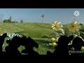 Disney Characters Watching The Teletubbies 1997 Version