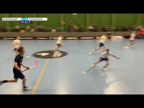 P17: EräViikingit - Sastamolo 9.2.2025 maalikooste