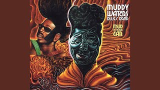 Music video thumbnail preview for Why'd You Do Me by The Muddy Waters Band